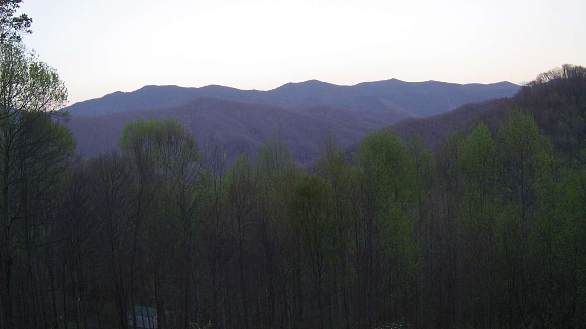 click for next image... slideshow image