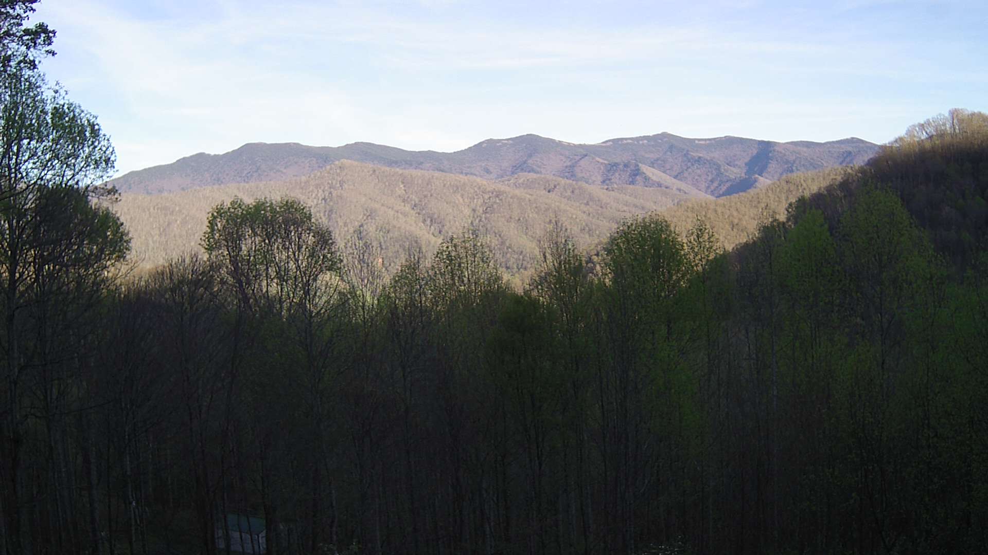 click for next image... slideshow image