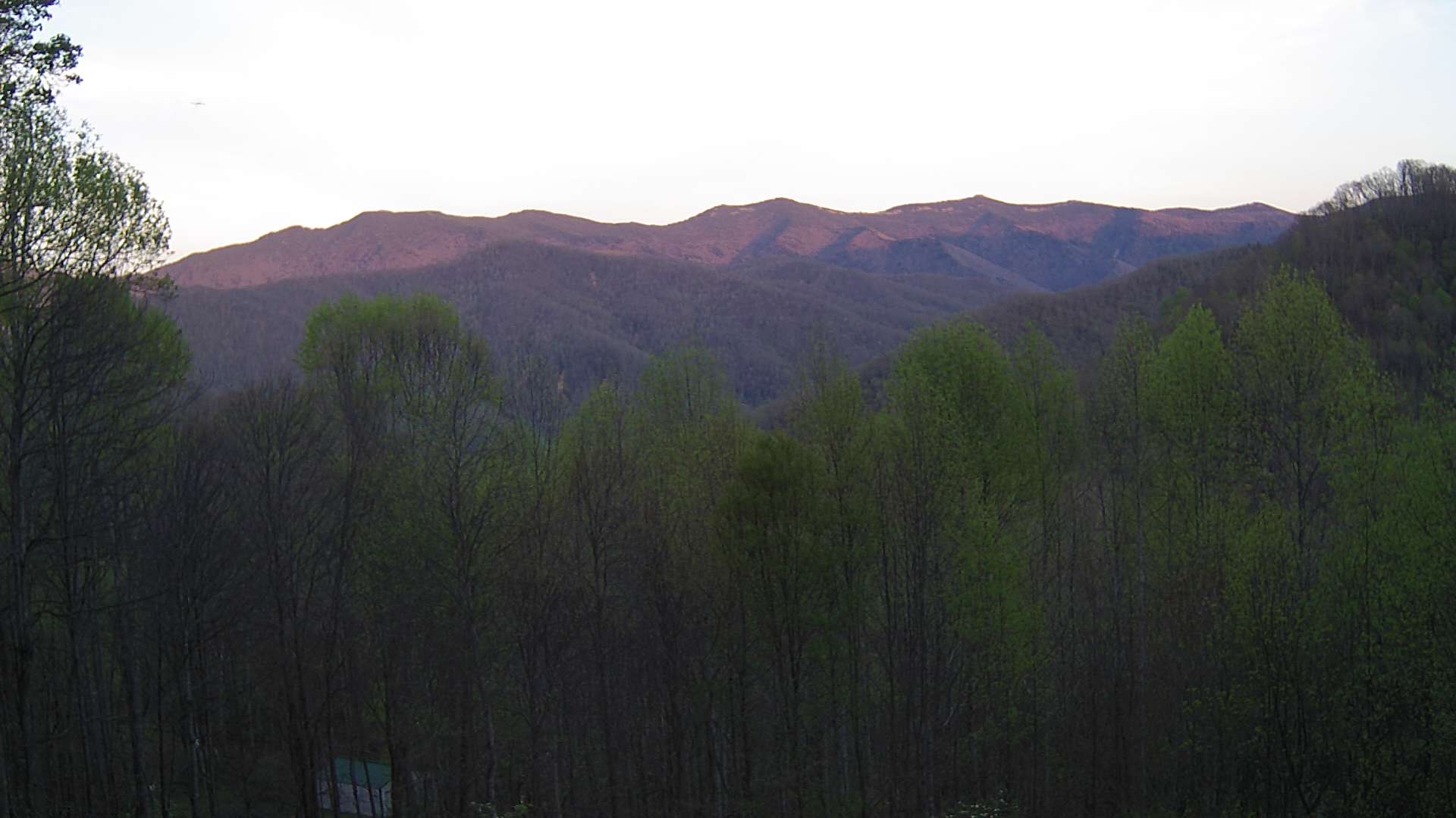 click for next image... slideshow image