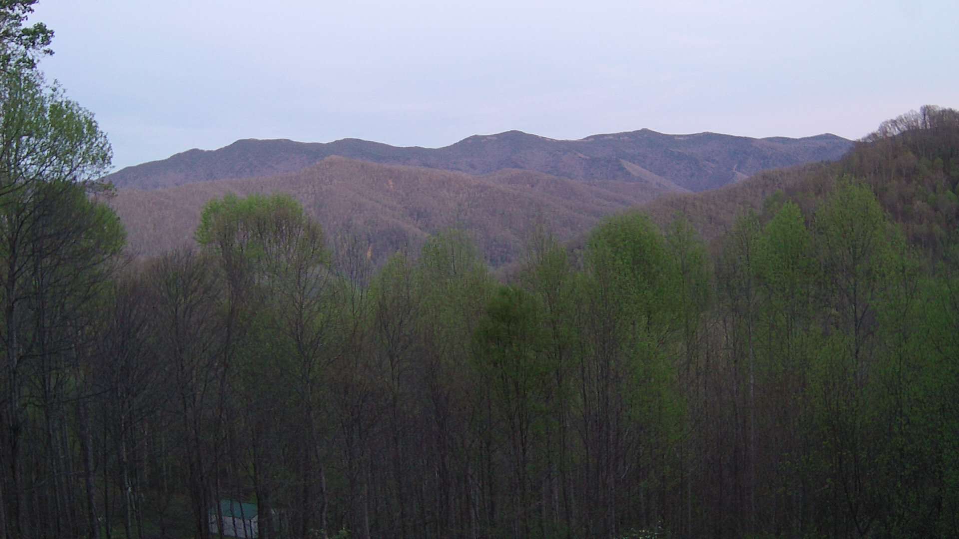 click for next image... slideshow image