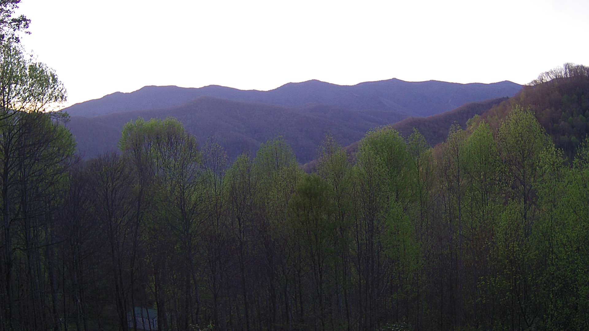 click for next image... slideshow image