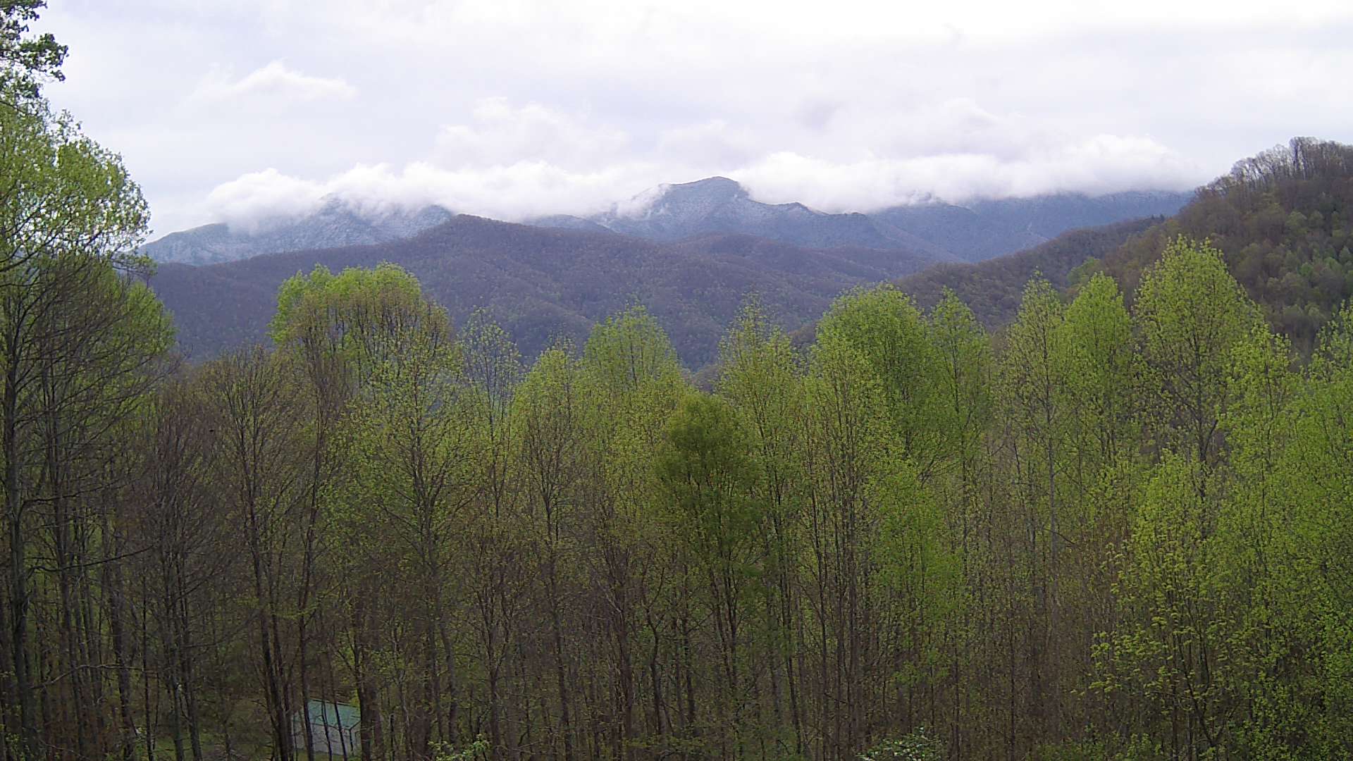 click for next image... slideshow image