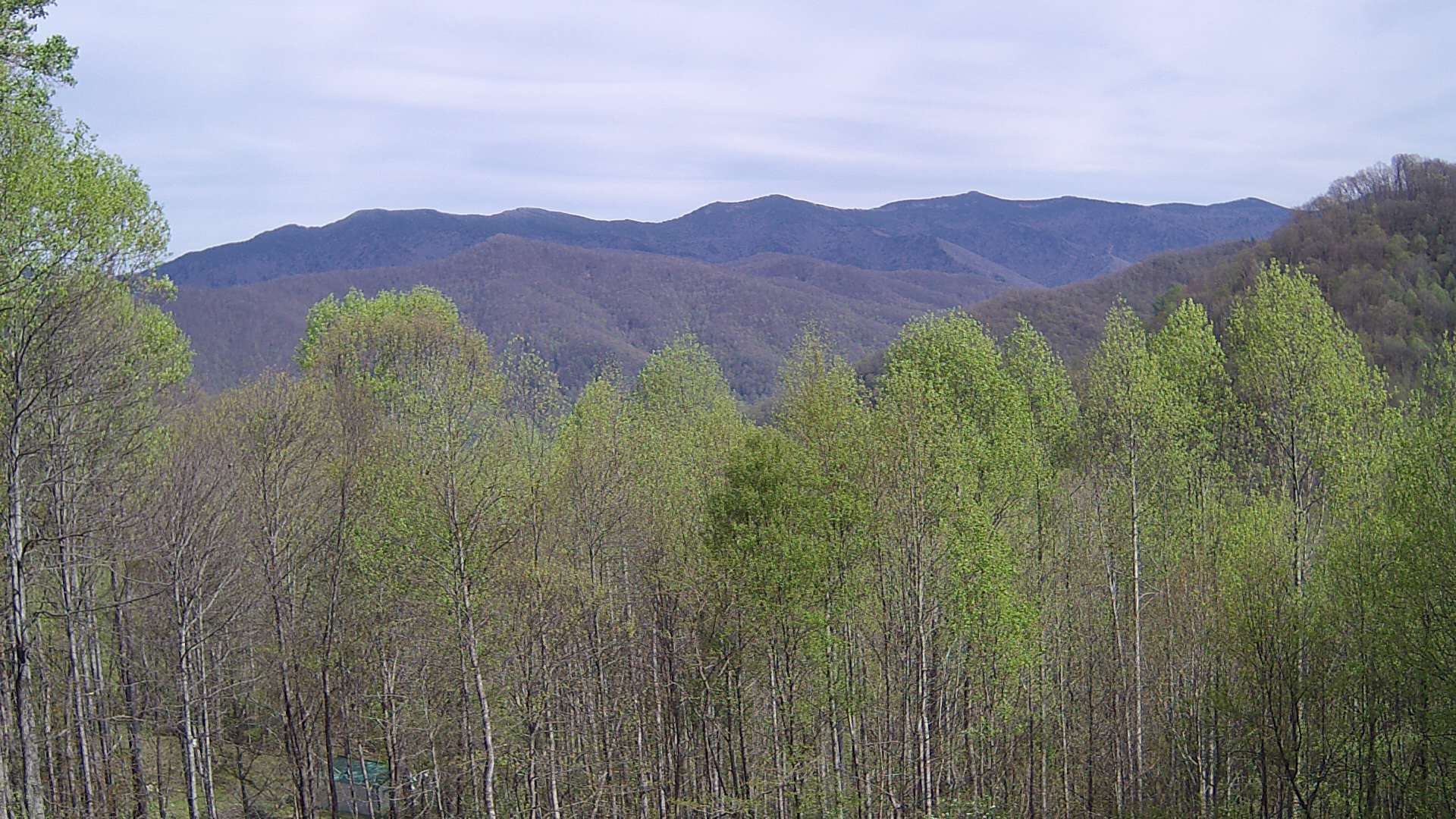 click for next image... slideshow image