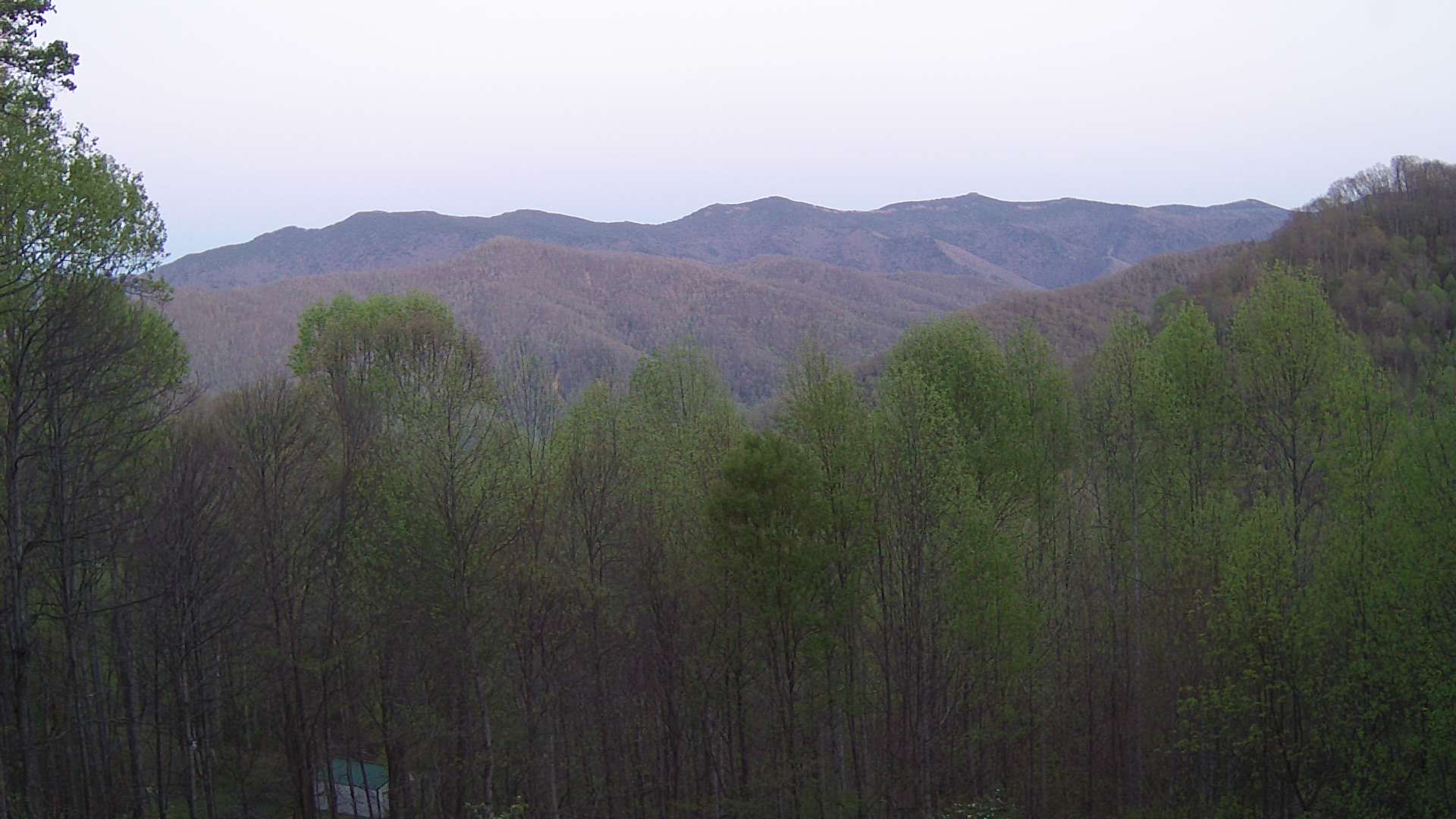click for next image... slideshow image