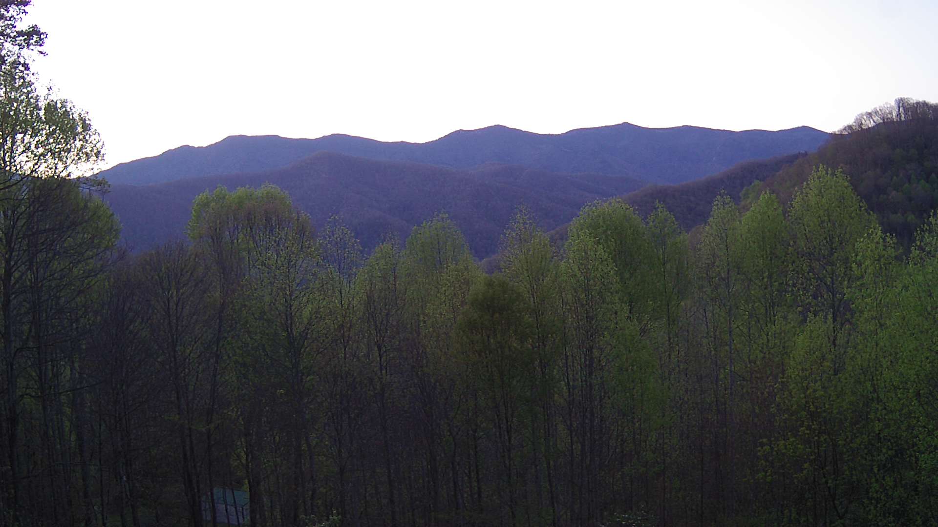 click for next image... slideshow image
