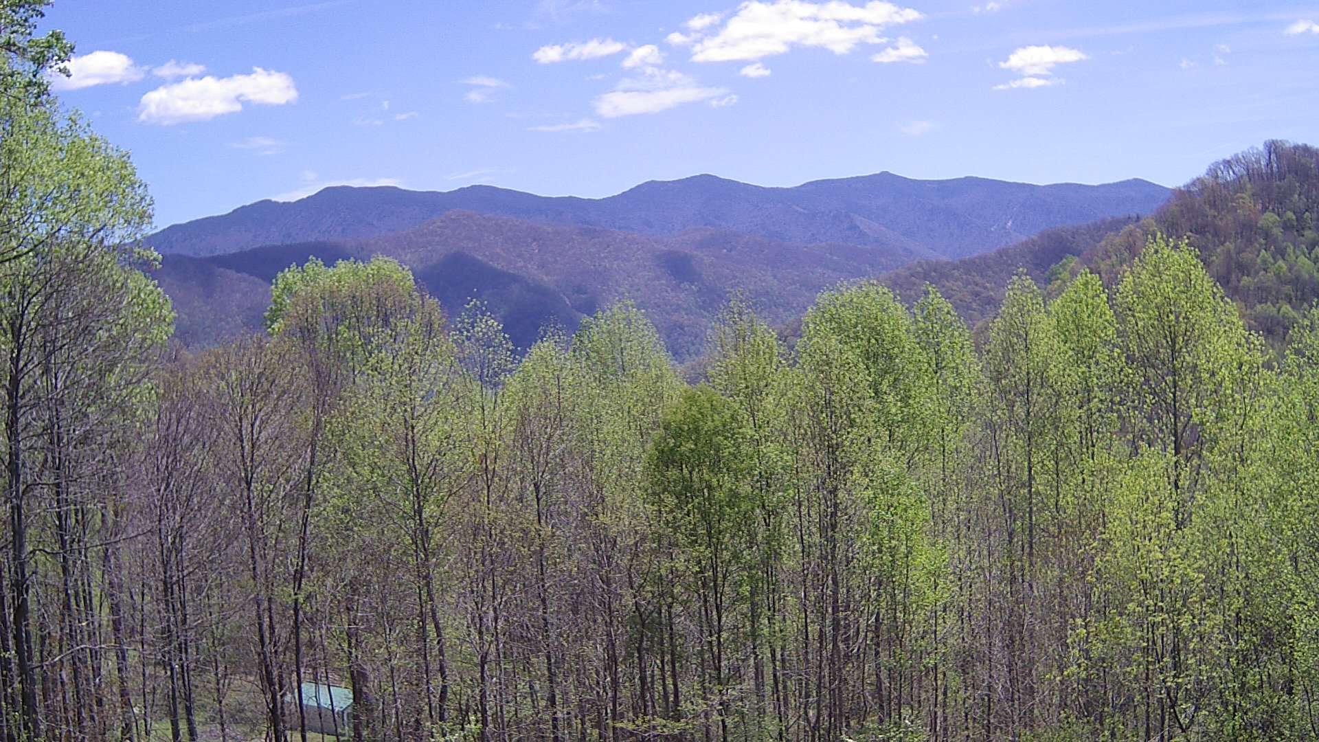 click for next image... slideshow image