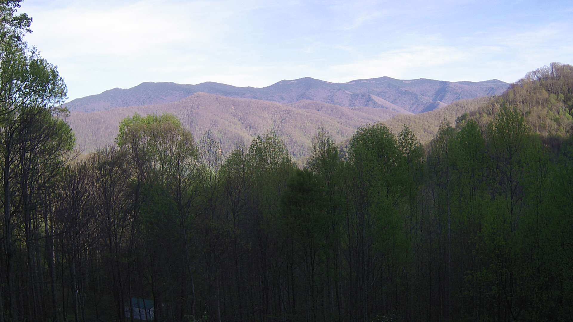 click for next image... slideshow image