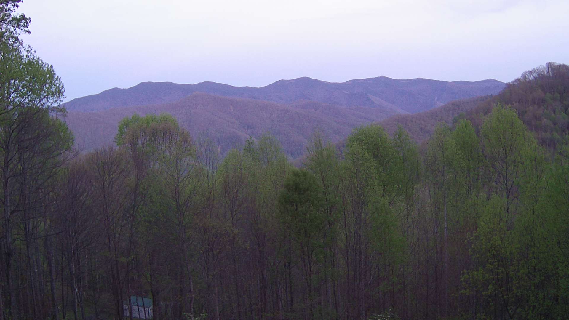 click for next image... slideshow image