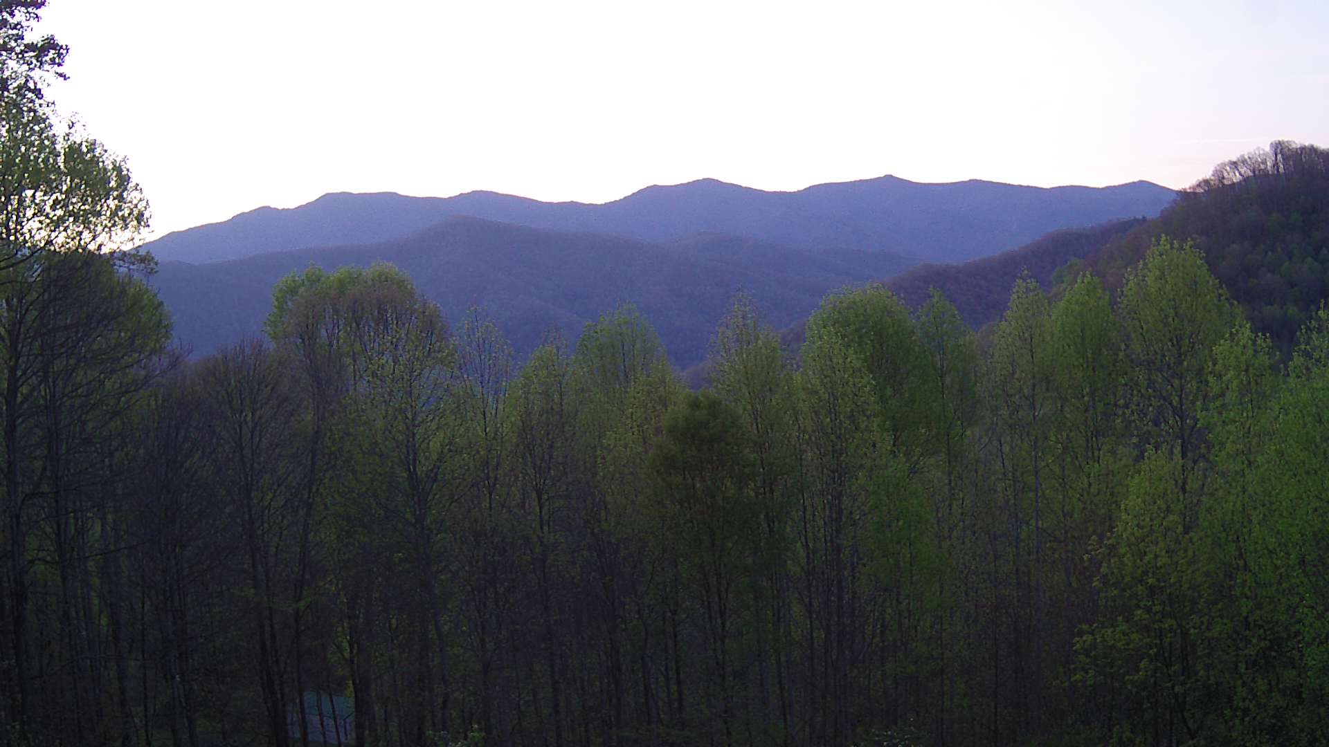 click for next image... slideshow image