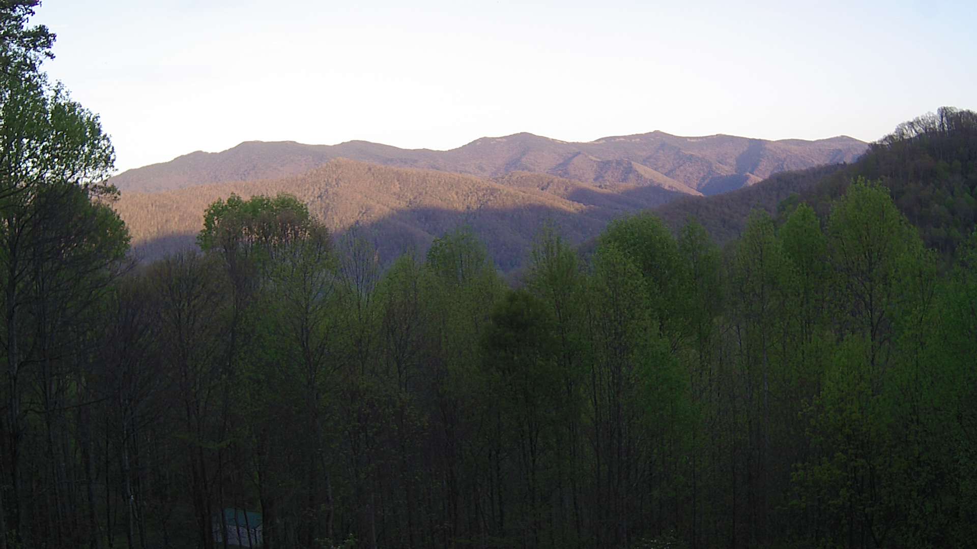 click for next image... slideshow image