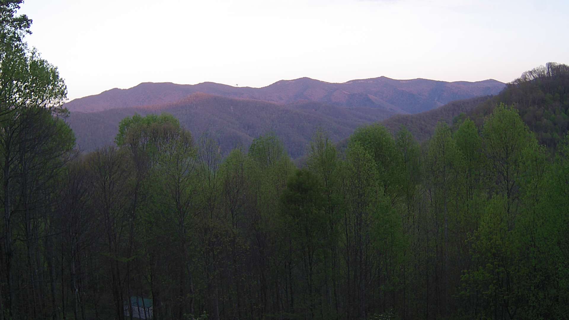 click for next image... slideshow image