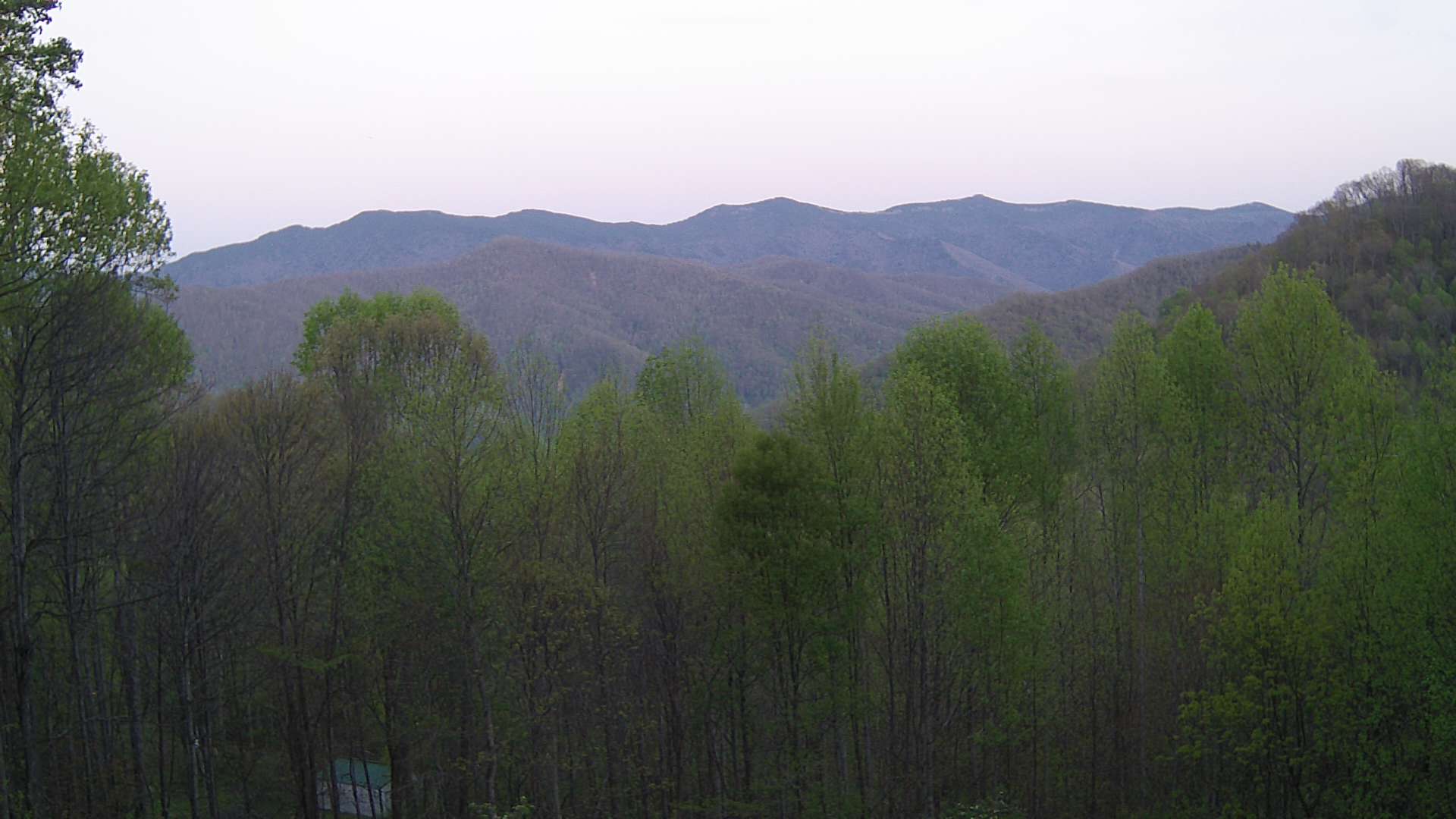 click for next image... slideshow image