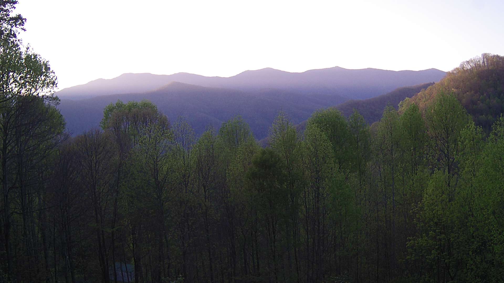 click for next image... slideshow image