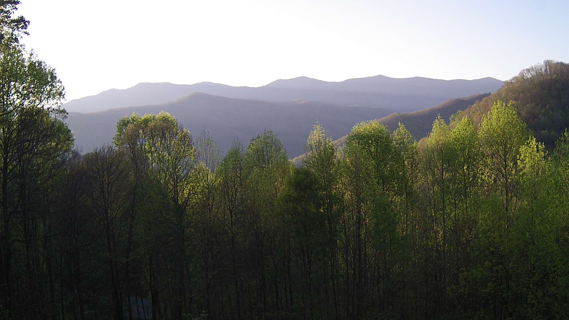 click for next image... slideshow image