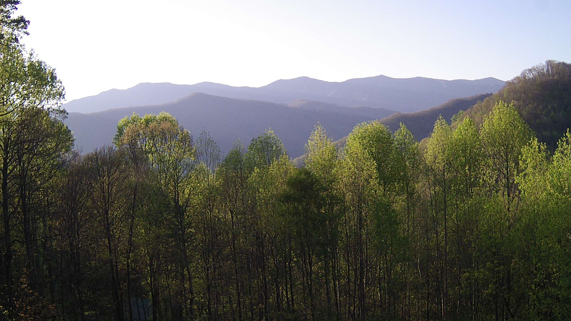 click for next image... slideshow image