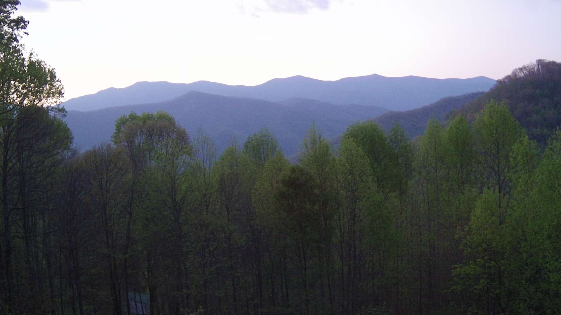 click for next image... slideshow image