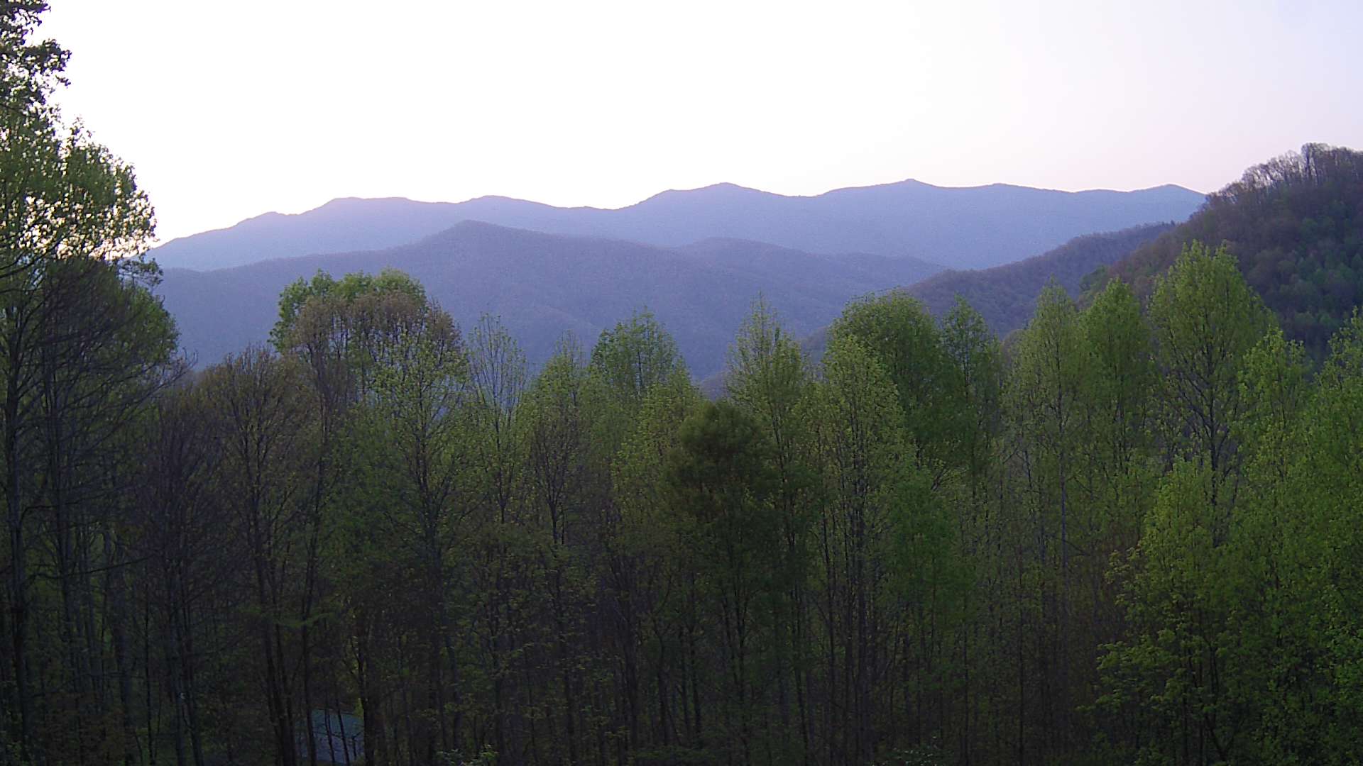 click for next image... slideshow image