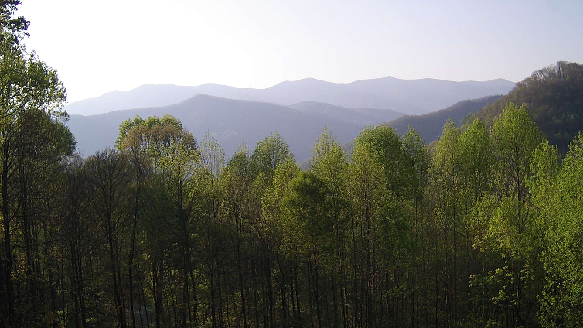 click for next image... slideshow image