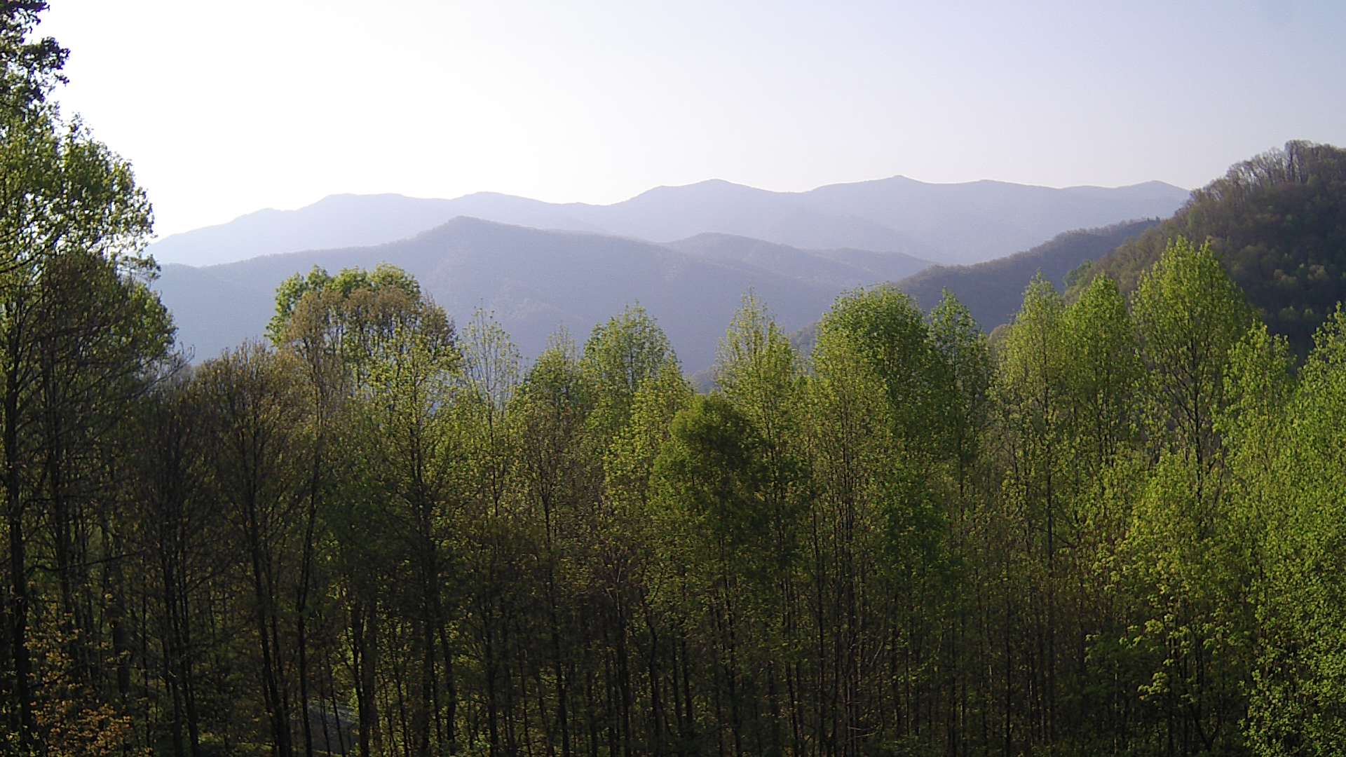 click for next image... slideshow image