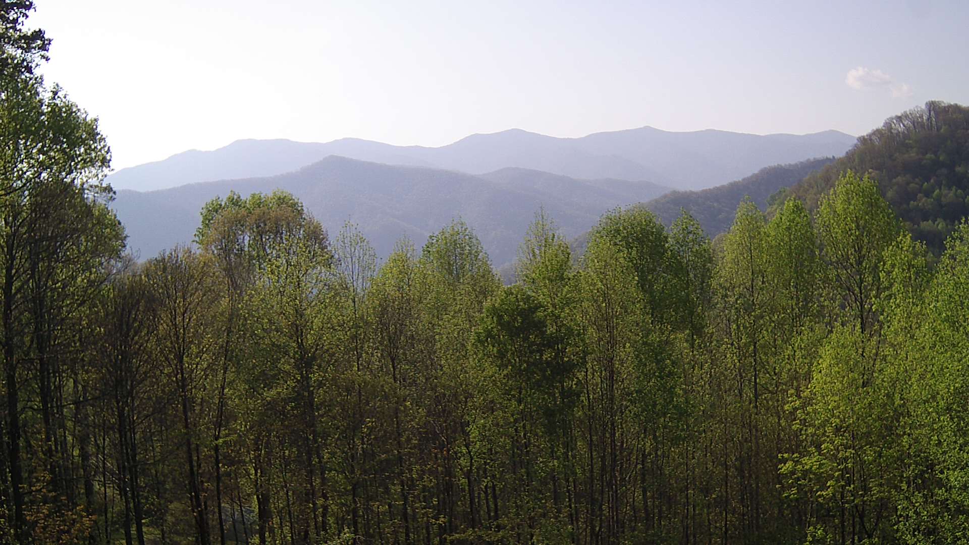 click for next image... slideshow image