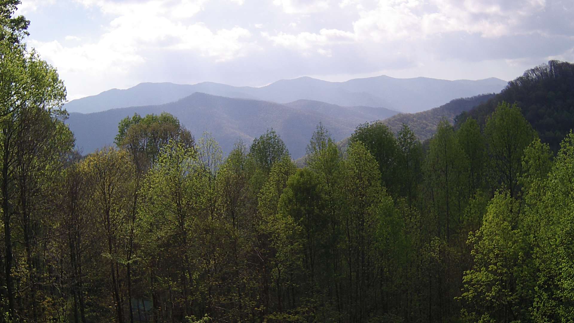 click for next image... slideshow image