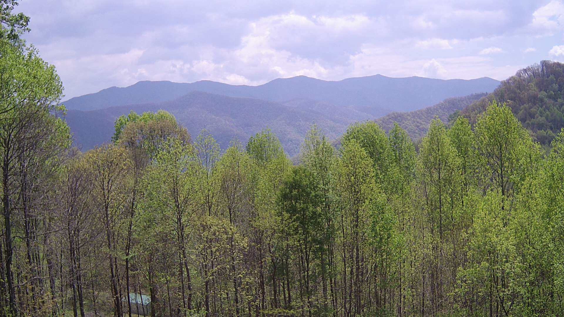 click for next image... slideshow image