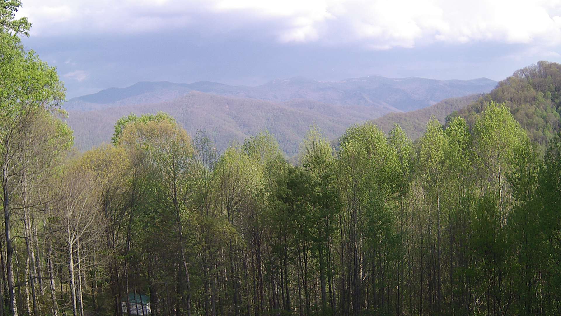 click for next image... slideshow image