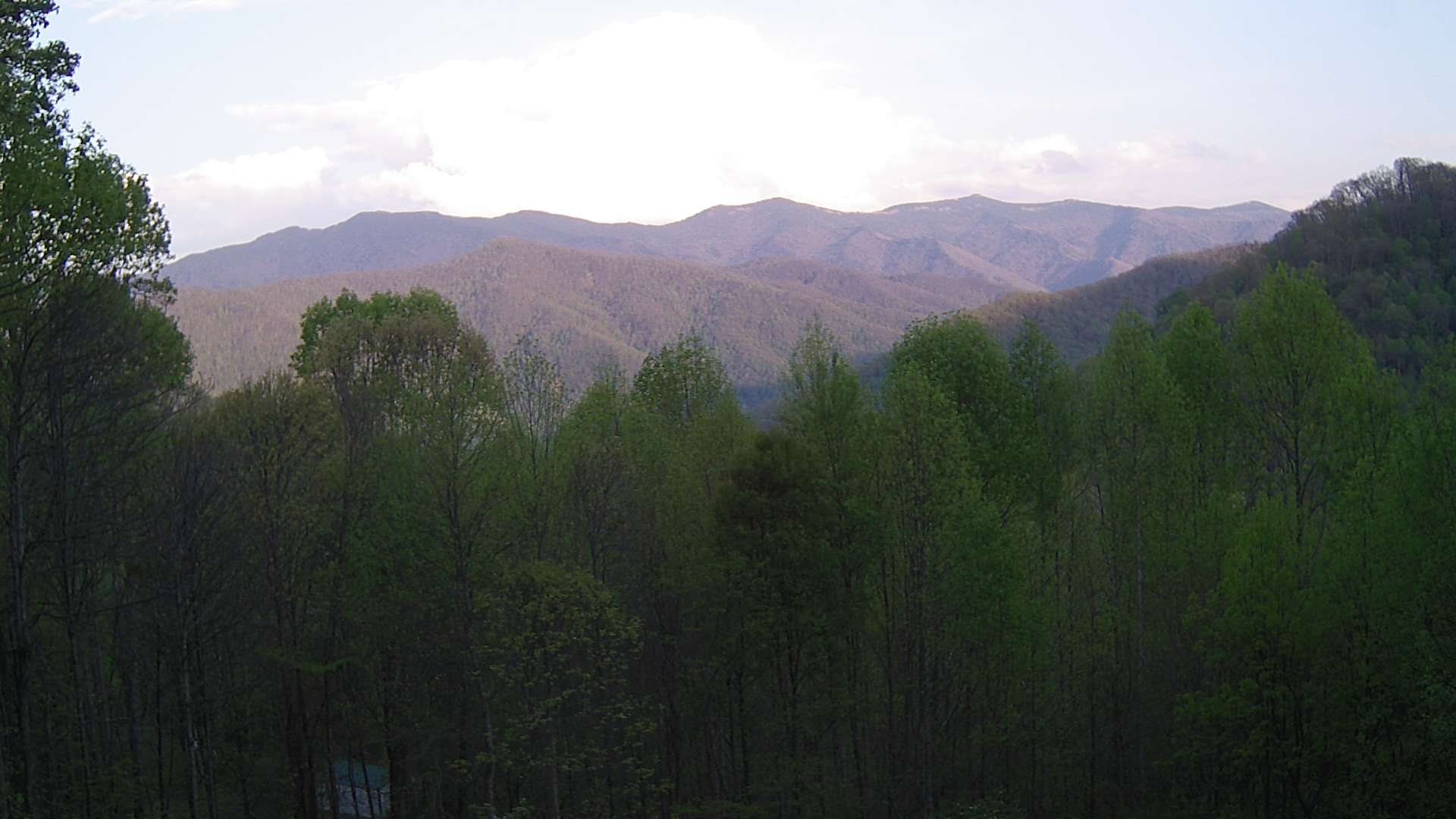 click for next image... slideshow image