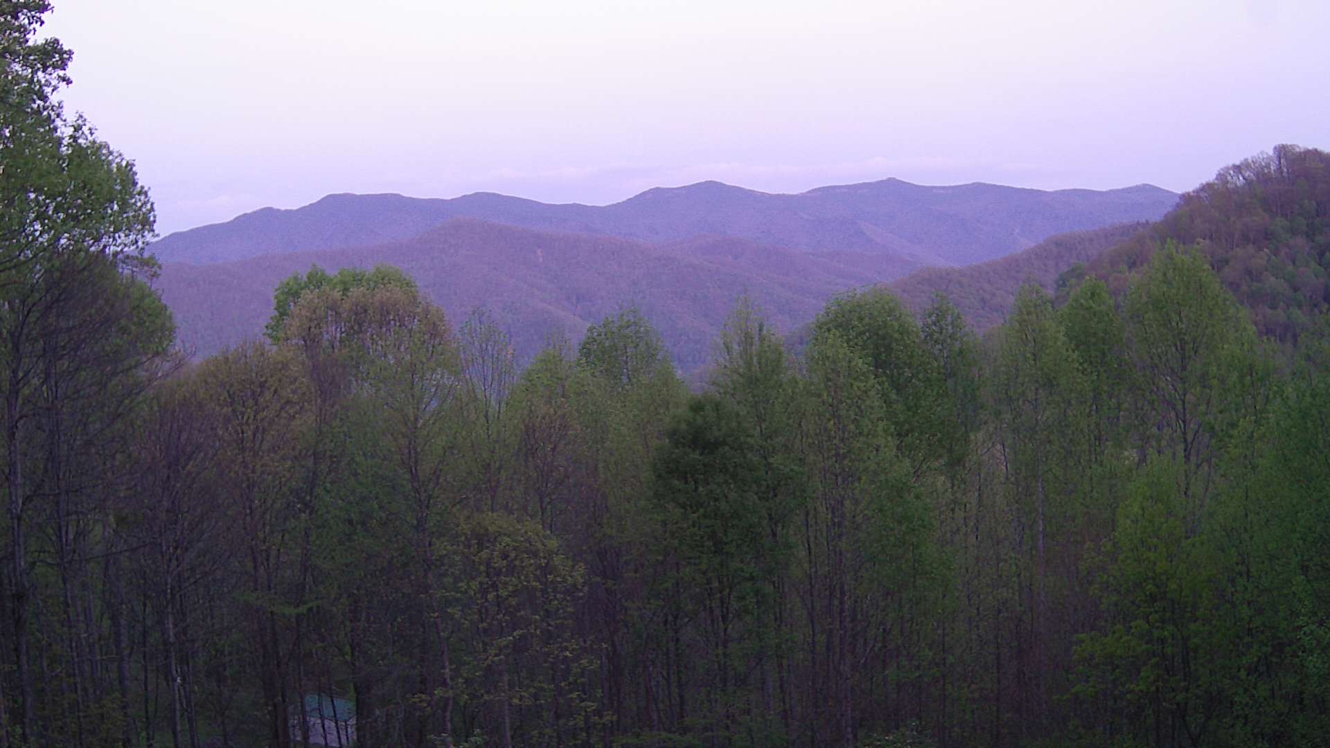 click for next image... slideshow image
