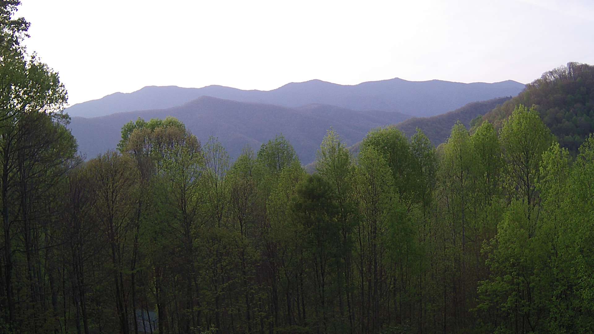 click for next image... slideshow image