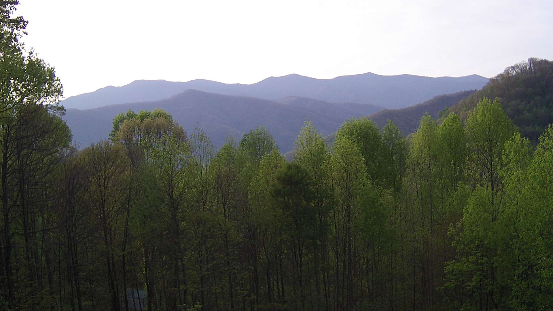 click for next image... slideshow image