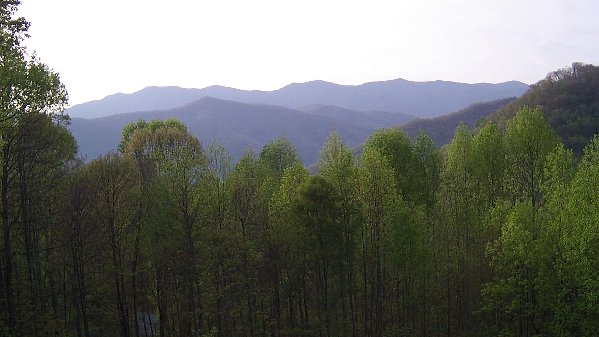 click for next image... slideshow image