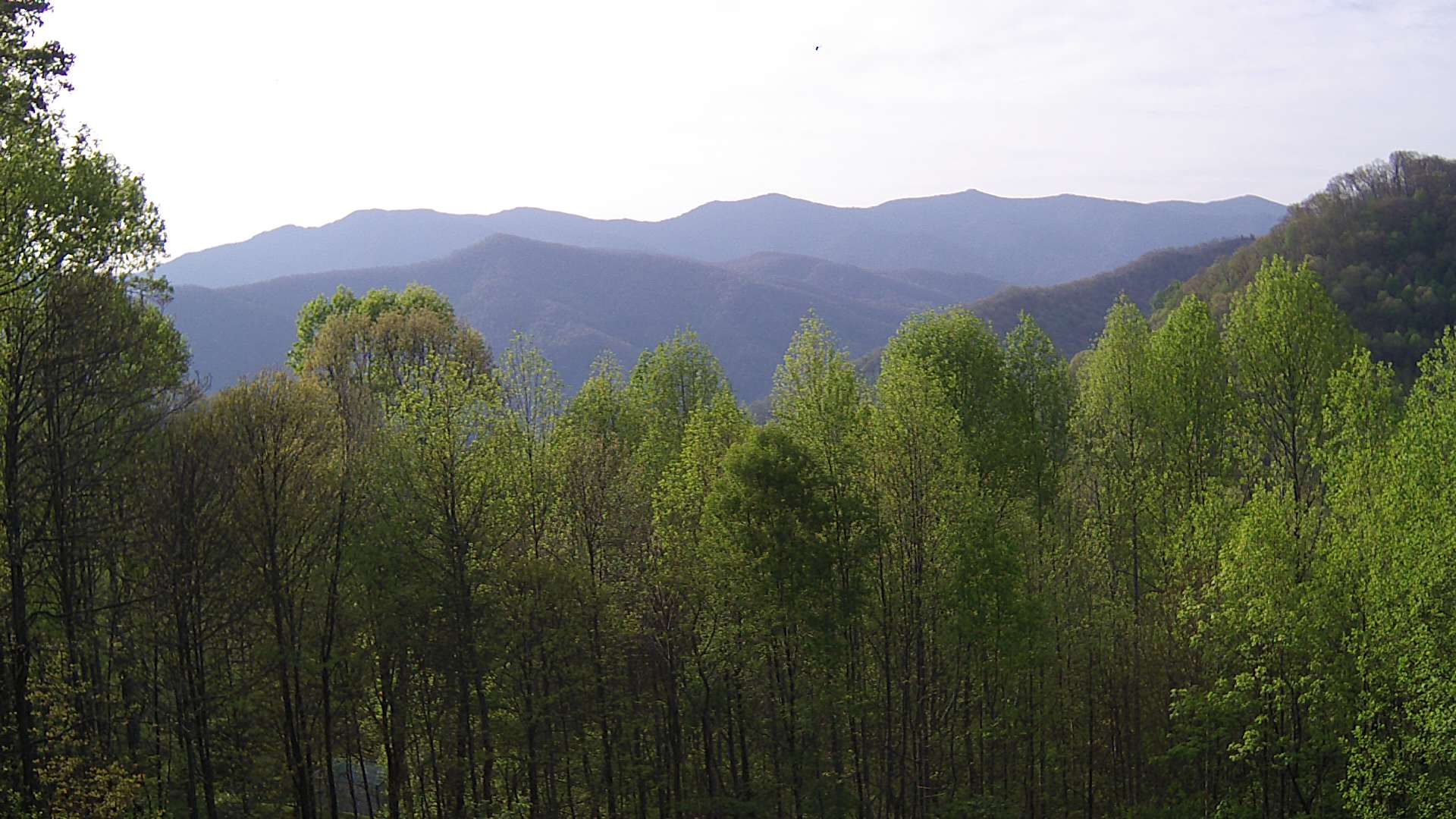 click for next image... slideshow image