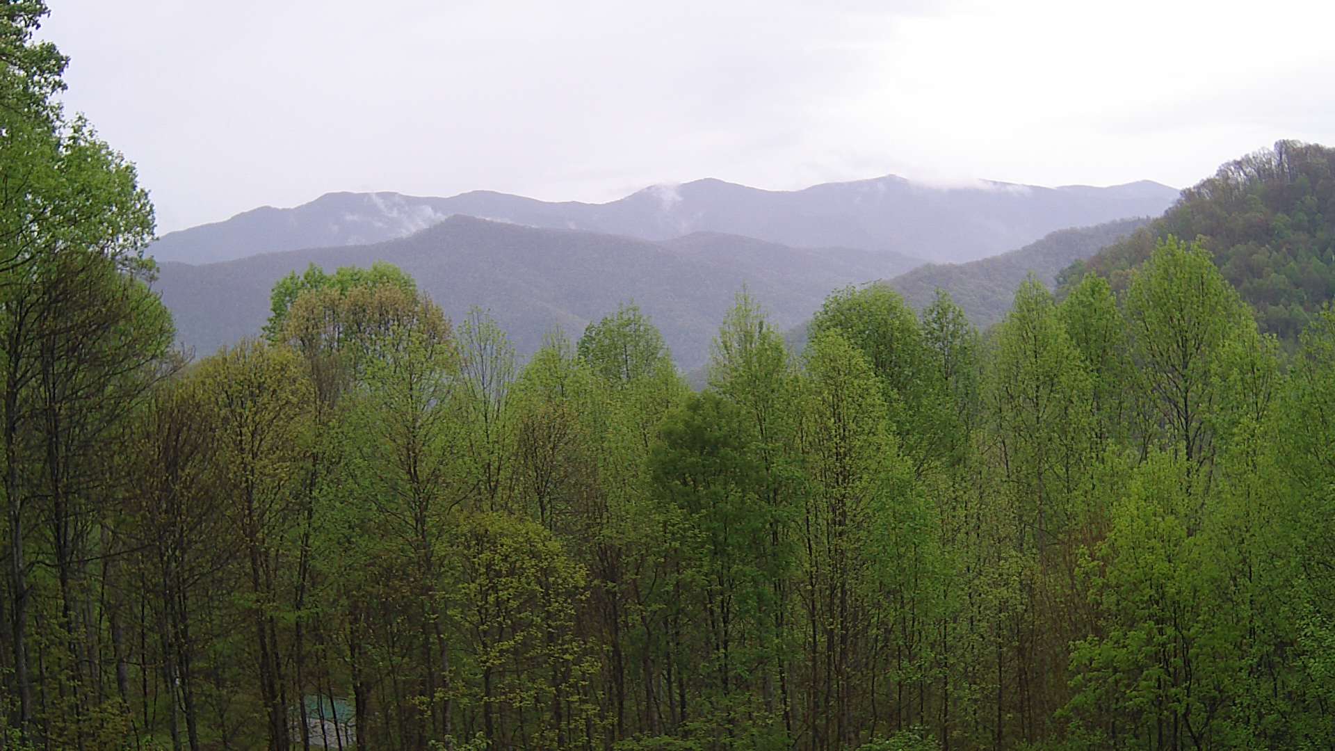 click for next image... slideshow image