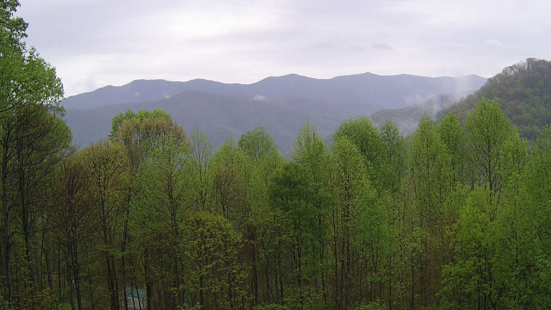 click for next image... slideshow image