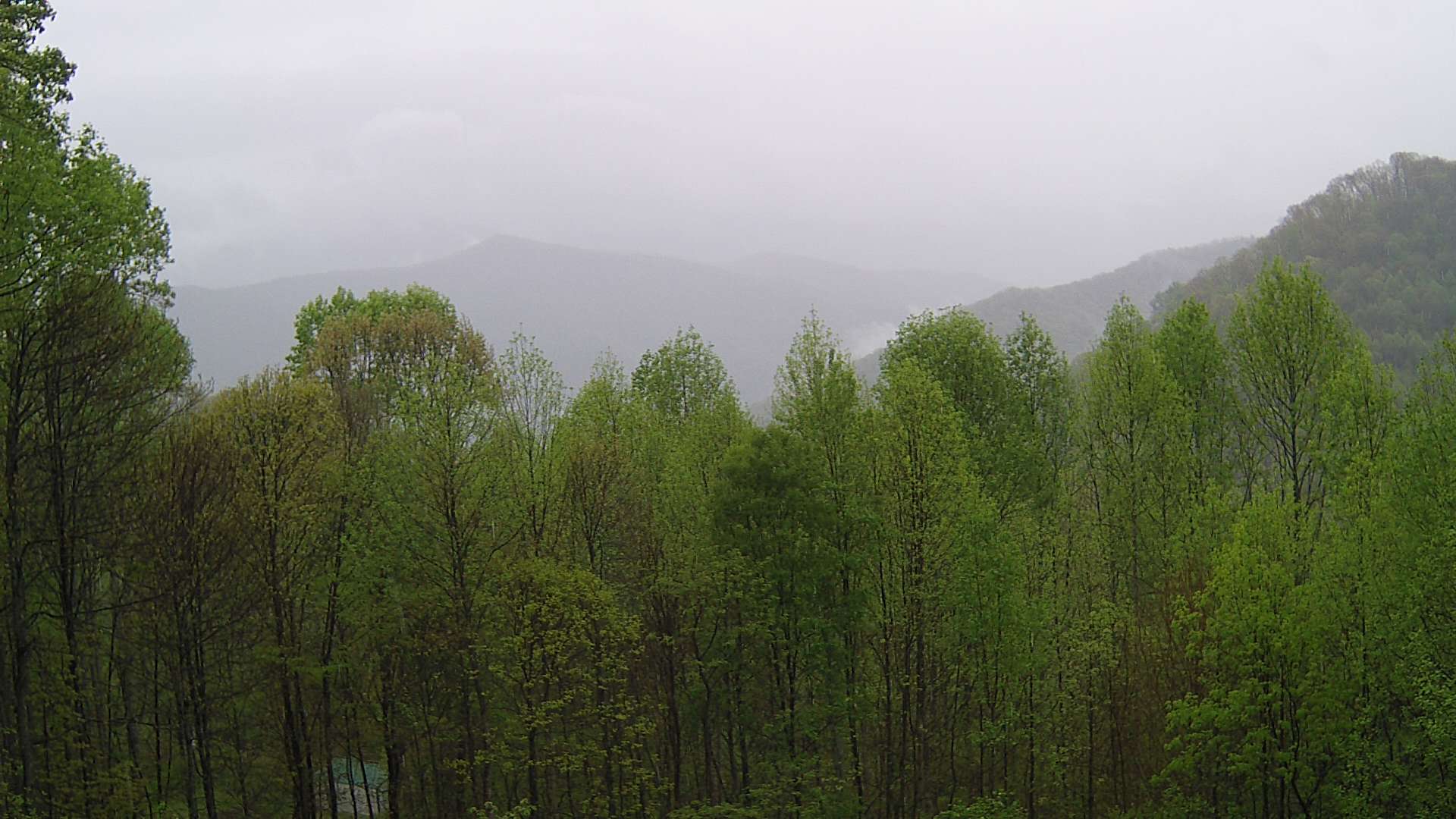 click for next image... slideshow image