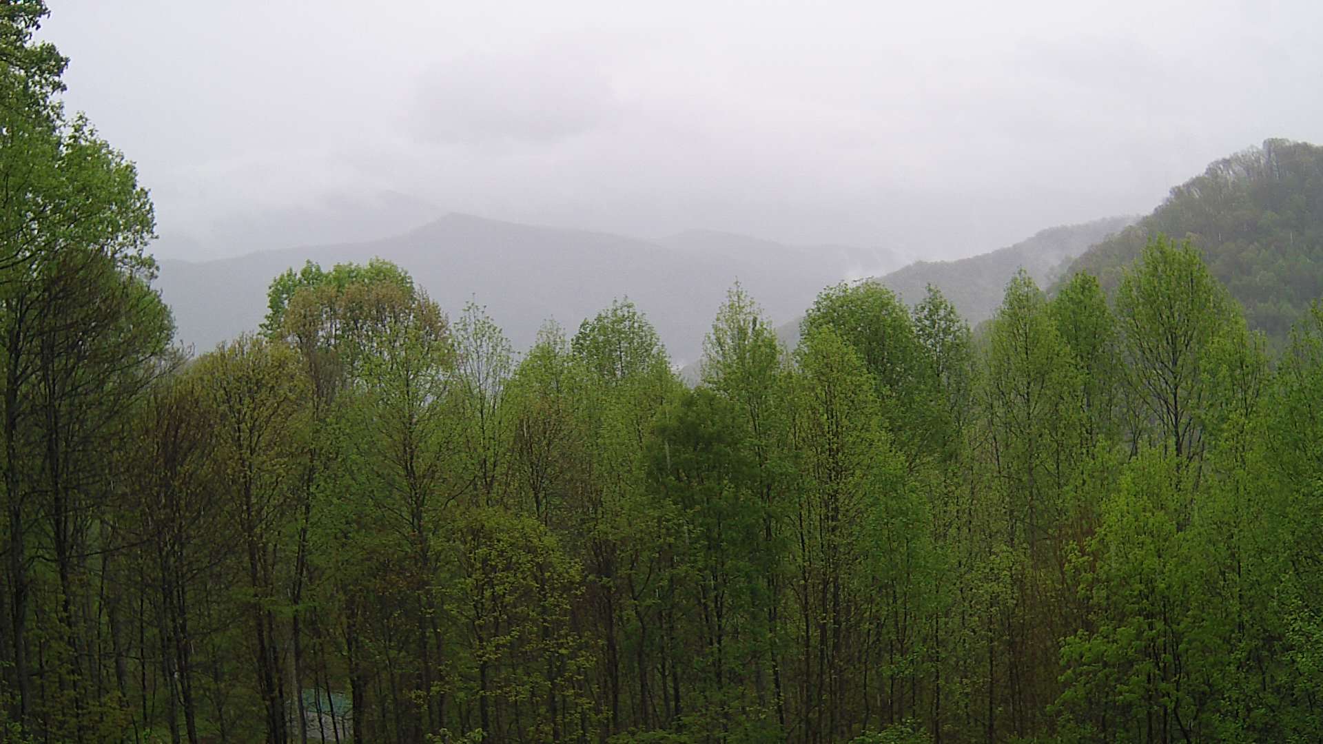 click for next image... slideshow image