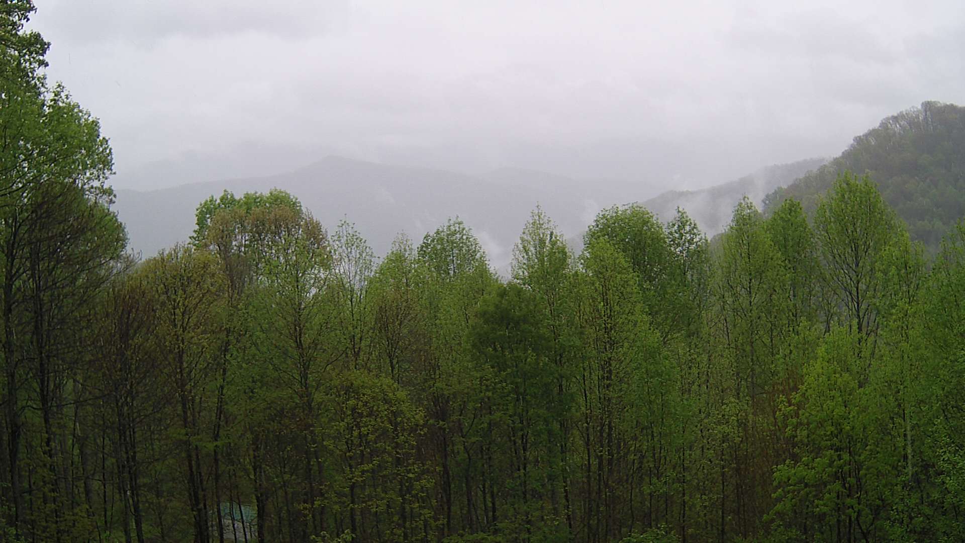click for next image... slideshow image