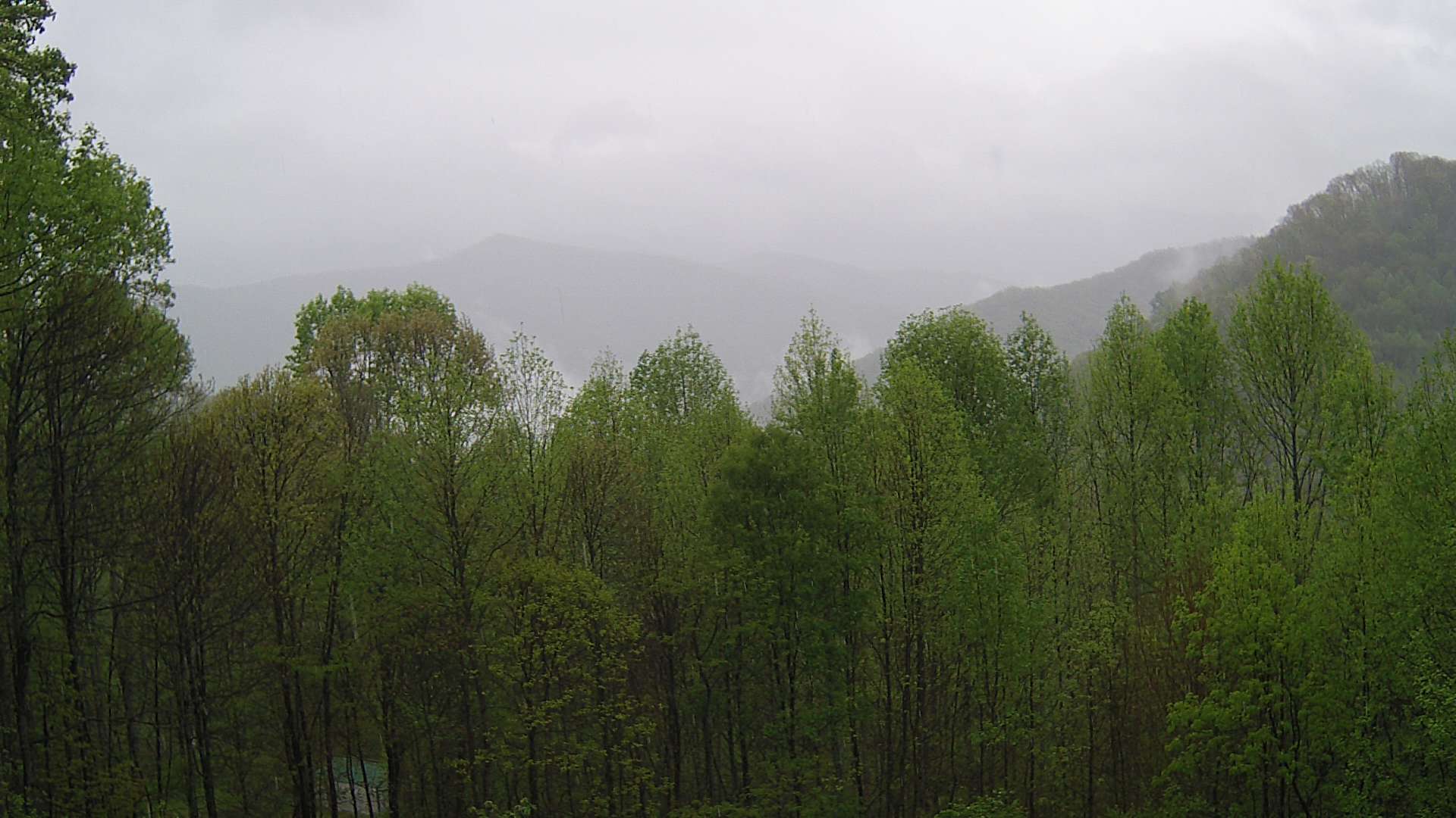 click for next image... slideshow image