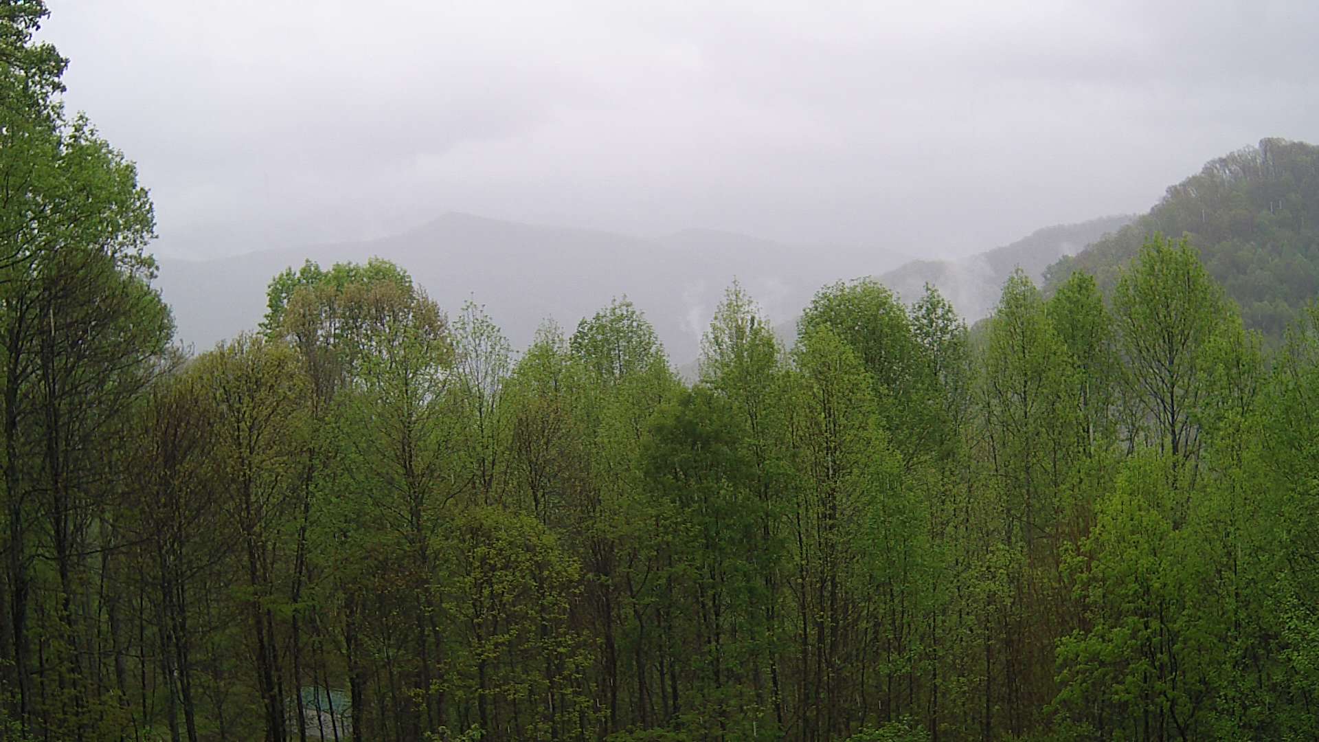 click for next image... slideshow image