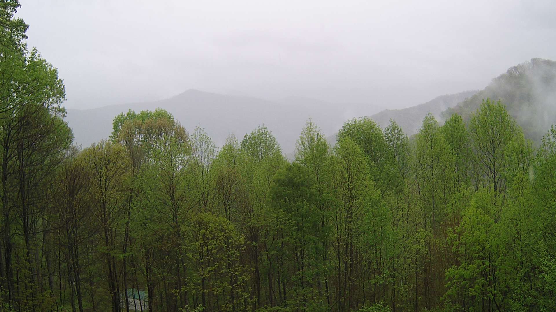 click for next image... slideshow image