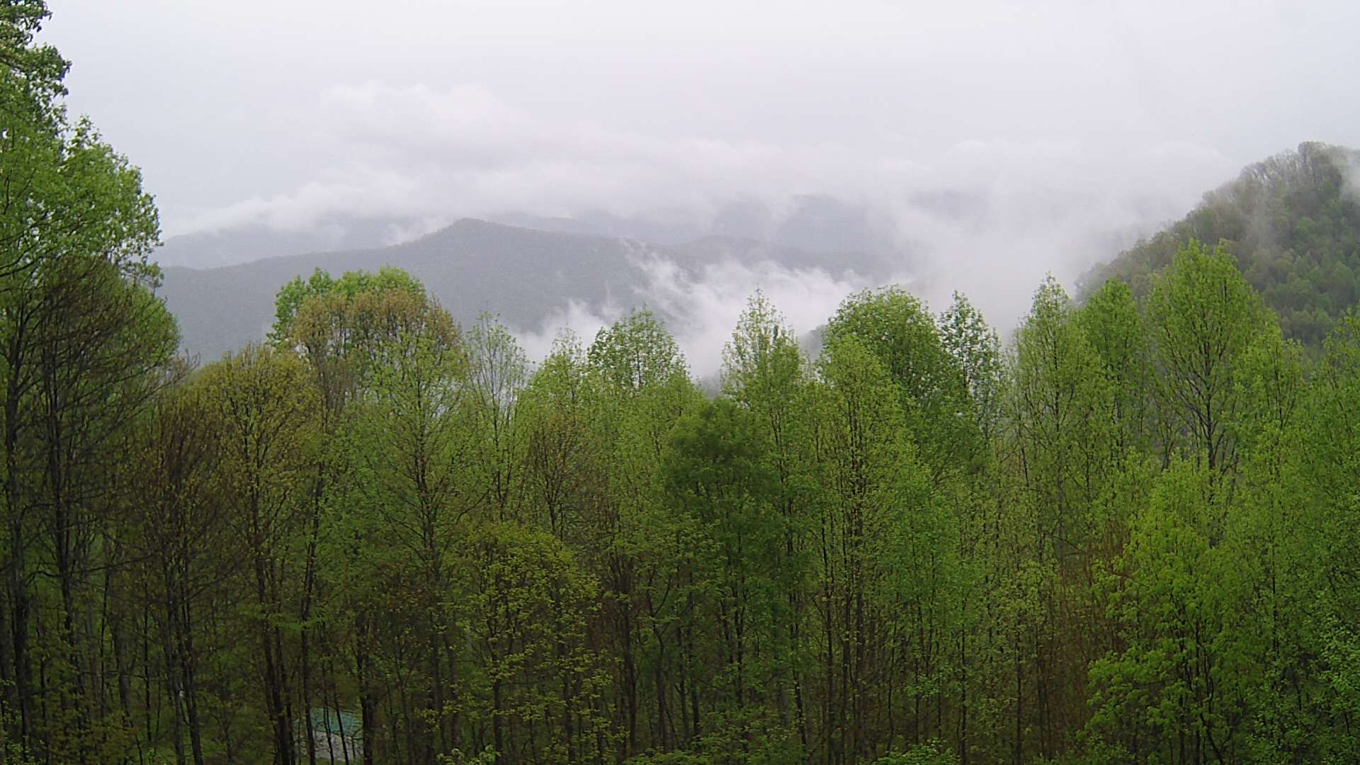 click for next image... slideshow image