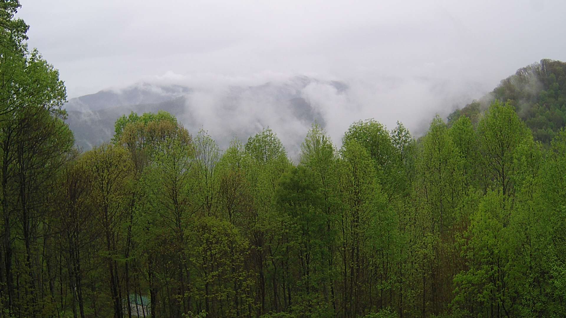 click for next image... slideshow image