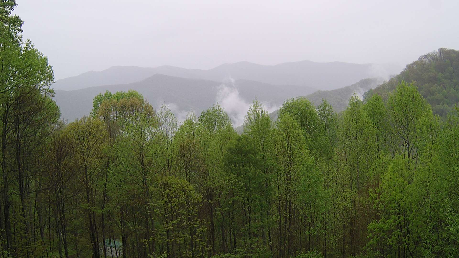 click for next image... slideshow image
