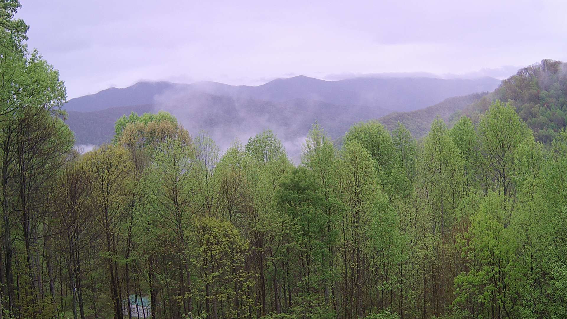 click for next image... slideshow image
