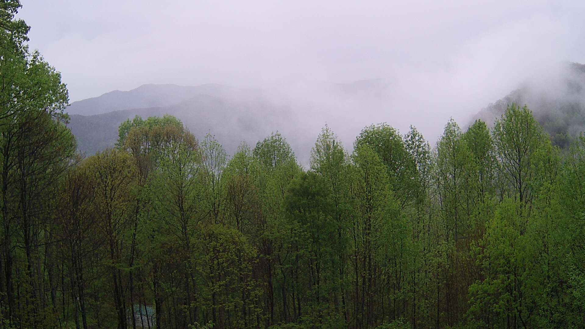 click for next image... slideshow image