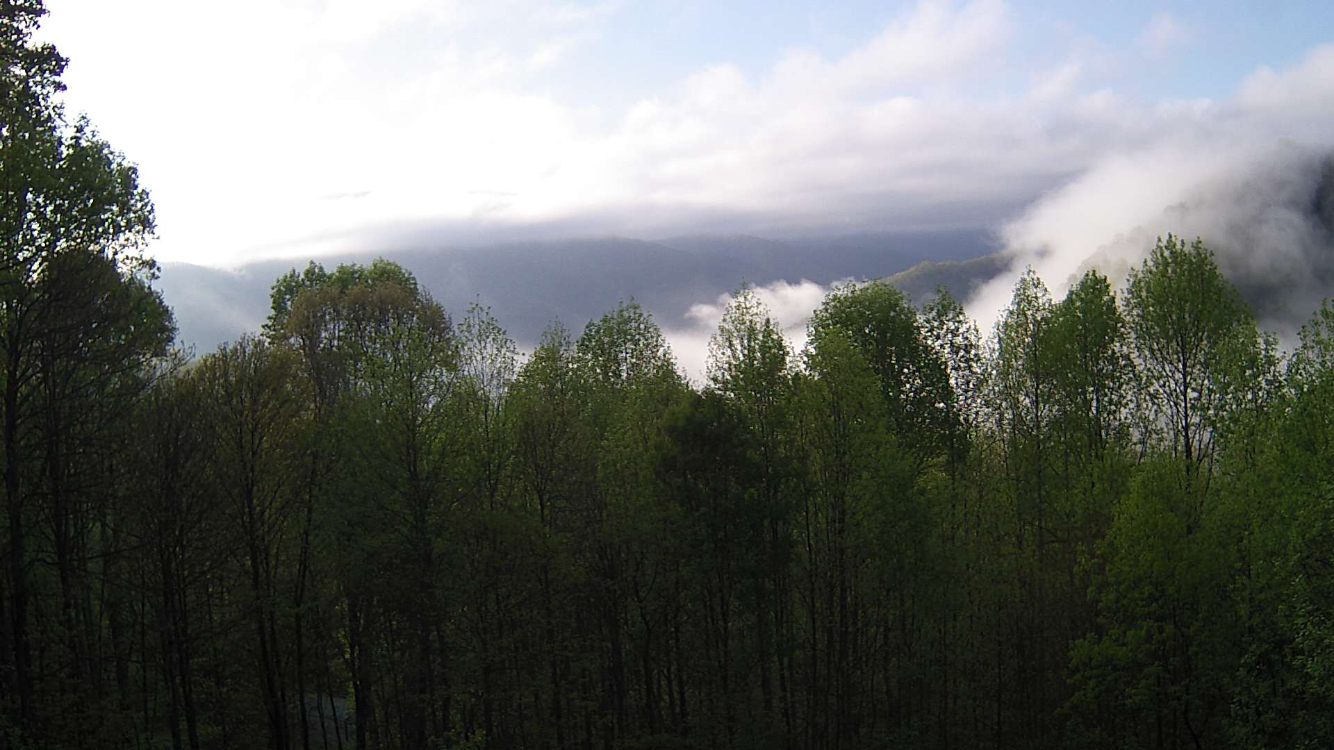 click for next image... slideshow image
