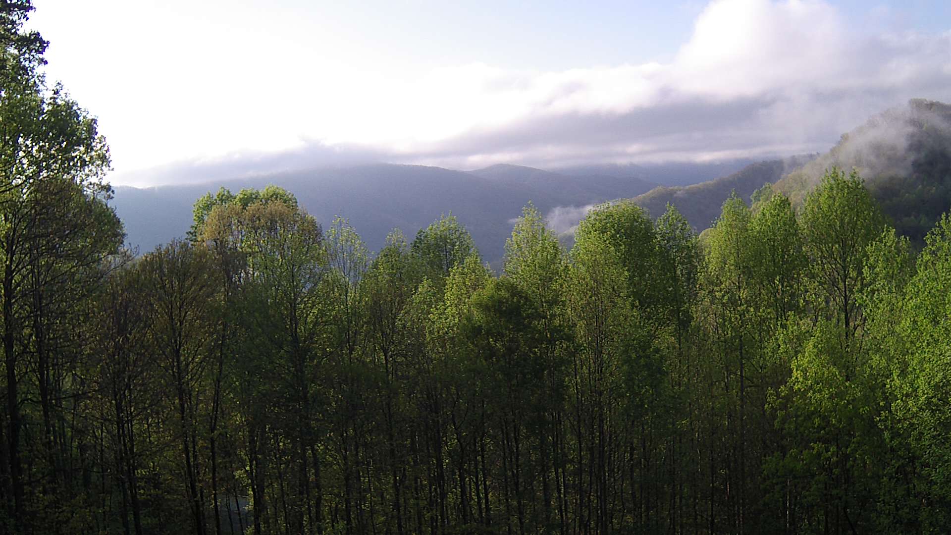 click for next image... slideshow image