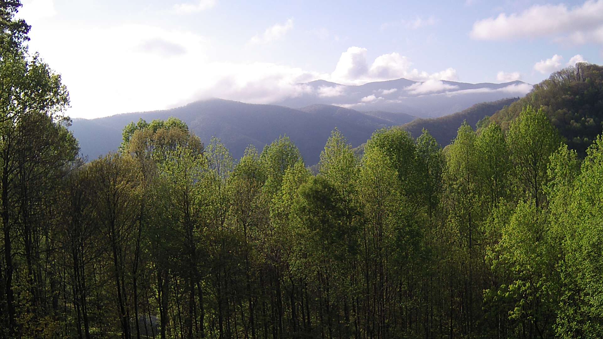 click for next image... slideshow image