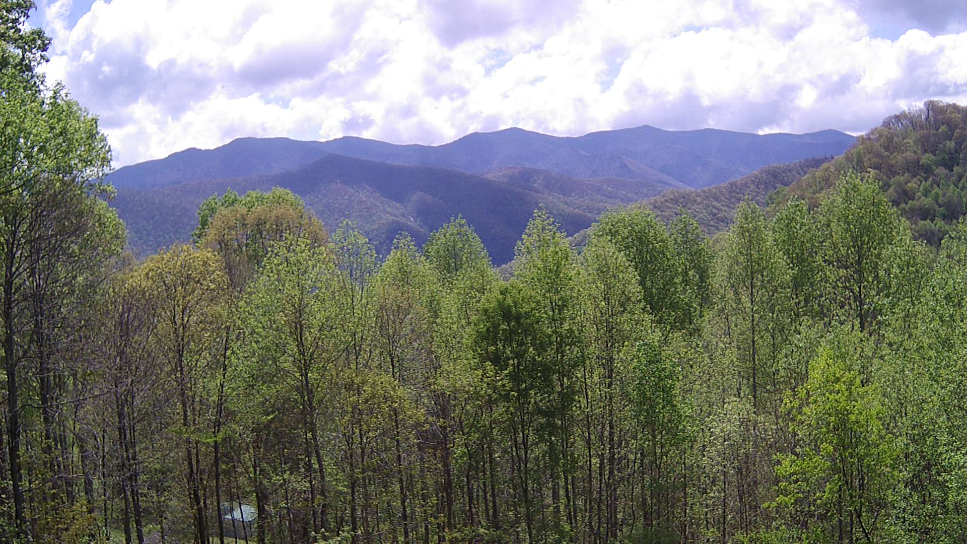 click for next image... slideshow image